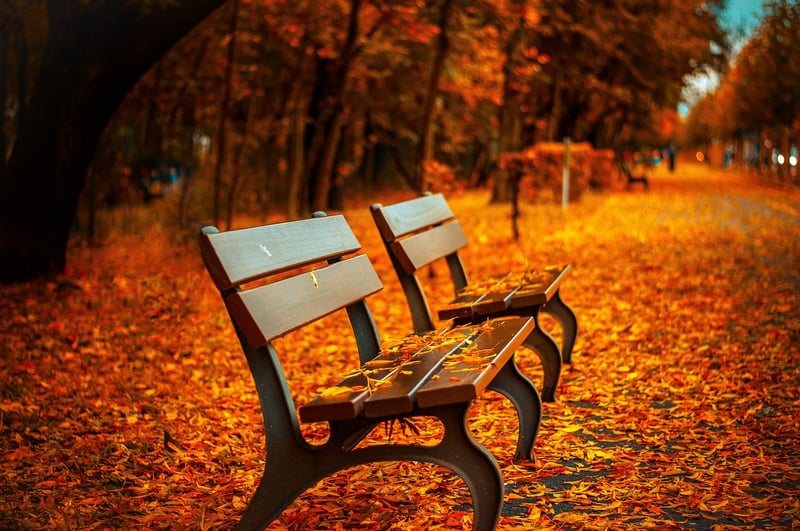 Garden bench